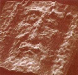 sind3.jpg (12988 bytes)